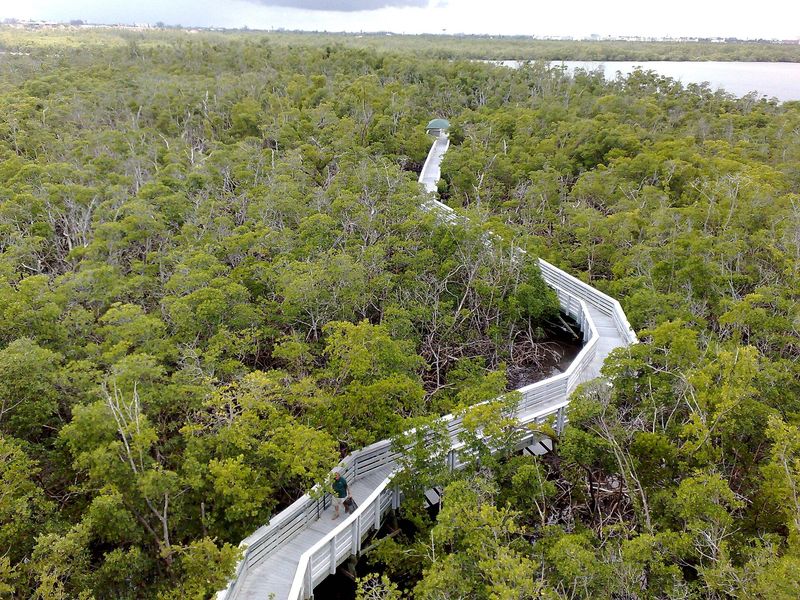 The boardwalk and observation tower at Anne Kolb Nature Center