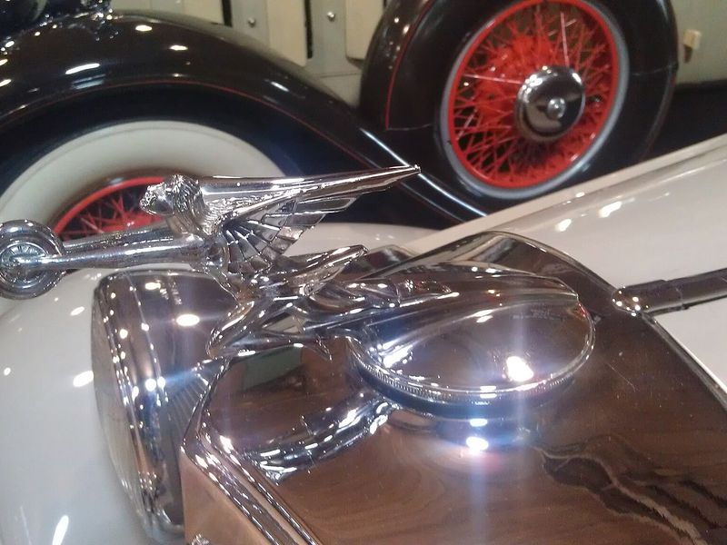 Inside the Fort Lauderdale Antique Car Museum