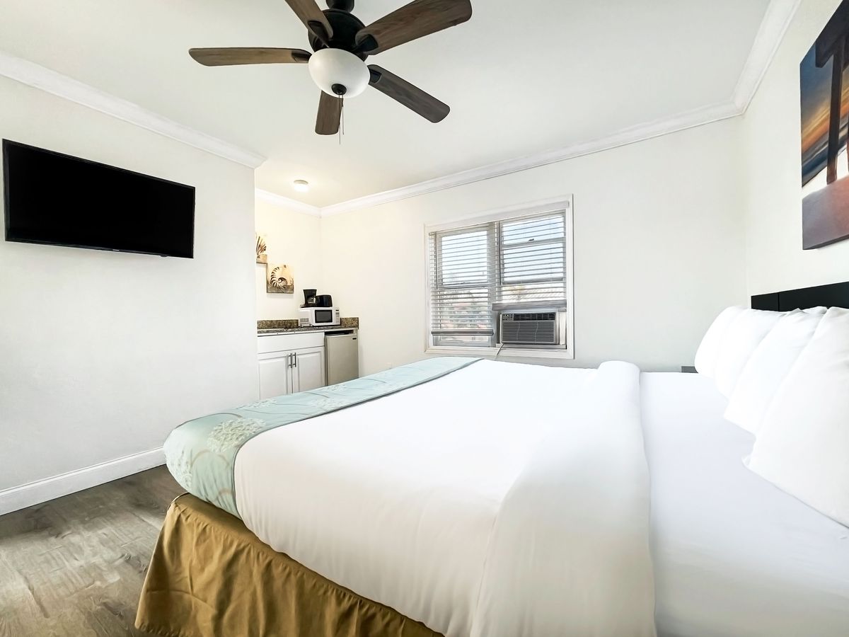 The Palm at Hollywood Beach Hotels, photo 15