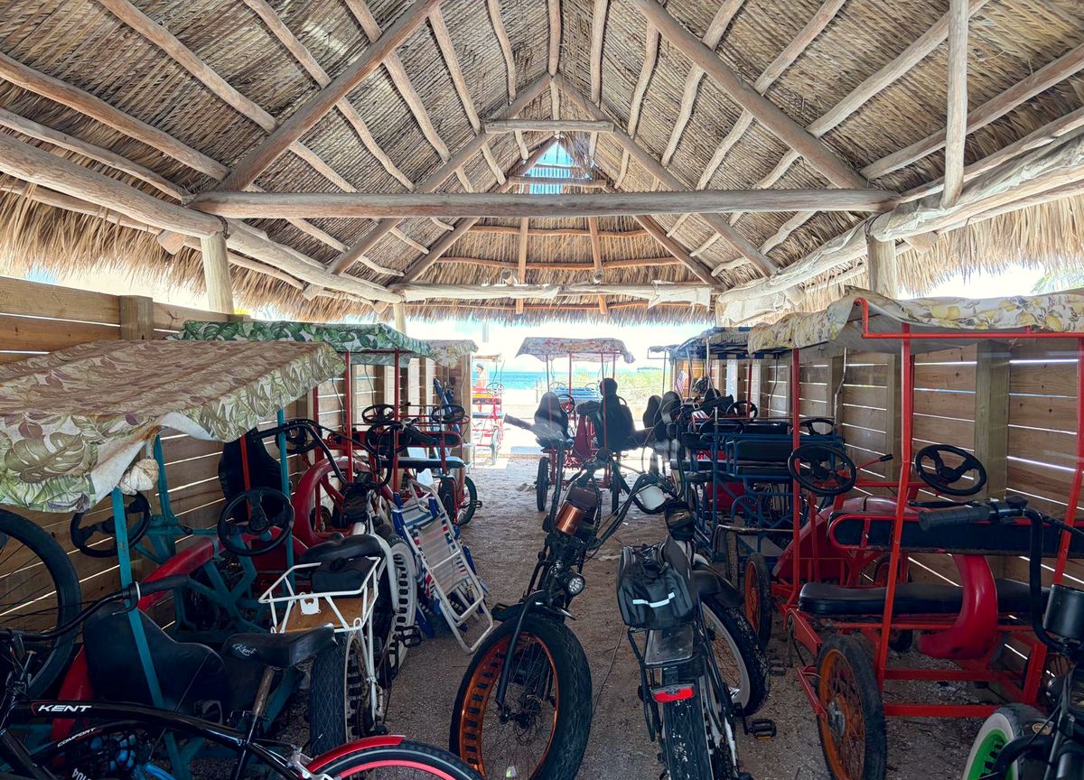 Inside the bike rental hut: rows of bikes and surrey cycles under the thatched roof, the Broadwalk beyond.
